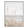 Picture of Beach Vass _GroupedProduct_Rectangle_Portrait_Photography _GroupedProduct_Rectangle_Portrait_Canvas_Framed_