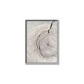 Picture of Cracked Wood _GroupedProduct_Rectangle_Portrait_Photography _GroupedProduct_Rectangle_Portrait_Canvas_Framed_