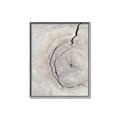 Picture of Cracked Wood _GroupedProduct_Rectangle_Portrait_Photography _GroupedProduct_Rectangle_Portrait_Canvas_Framed_