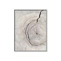 Picture of Cracked Wood _GroupedProduct_Rectangle_Portrait_Photography _GroupedProduct_Rectangle_Portrait_Canvas_Framed_