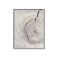 Picture of Cracked Wood _GroupedProduct_Rectangle_Portrait_Photography _GroupedProduct_Rectangle_Portrait_Canvas_Framed_