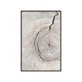 Picture of Cracked Wood _GroupedProduct_Rectangle_Portrait_Photography _GroupedProduct_Rectangle_Portrait_Canvas_Framed_