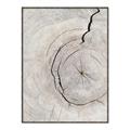 Picture of Cracked Wood _GroupedProduct_Rectangle_Portrait_Photography _GroupedProduct_Rectangle_Portrait_Canvas_Framed_