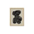 Picture of Mystic Dance _GroupedProduct_Rectangle_Portrait_Framed_Matted_