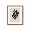 Picture of Petals or Leaves? _GroupedProduct_Rectangle_Portrait_Framed_Matted_