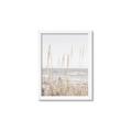 Picture of Beach Vass _GroupedProduct_Rectangle_Portrait_Photography _GroupedProduct_Rectangle_Portrait_Framed_Matted_