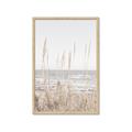Picture of Beach Vass _GroupedProduct_Rectangle_Portrait_Photography _GroupedProduct_Rectangle_Portrait_Framed_Matted_