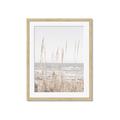 Picture of Beach Vass _GroupedProduct_Rectangle_Portrait_Photography _GroupedProduct_Rectangle_Portrait_Framed_Matted_