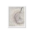 Picture of Cracked Wood _GroupedProduct_Rectangle_Portrait_Photography _GroupedProduct_Rectangle_Portrait_Framed_Matted_