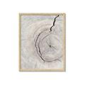 Picture of Cracked Wood _GroupedProduct_Rectangle_Portrait_Photography _GroupedProduct_Rectangle_Portrait_Framed_Matted_