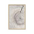 Picture of Cracked Wood _GroupedProduct_Rectangle_Portrait_Photography _GroupedProduct_Rectangle_Portrait_Framed_Matted_