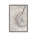 Picture of Cracked Wood _GroupedProduct_Rectangle_Portrait_Photography _GroupedProduct_Rectangle_Portrait_Framed_Matted_
