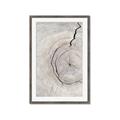 Picture of Cracked Wood _GroupedProduct_Rectangle_Portrait_Photography _GroupedProduct_Rectangle_Portrait_Framed_Matted_