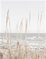 Picture of Beach Vass _GroupedProduct_Rectangle_Portrait_Photography _GroupedProduct_Rectangle_Portrait_Unframed_Print_Only_