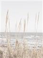 Picture of Beach Vass _GroupedProduct_Rectangle_Portrait_Photography _GroupedProduct_Rectangle_Portrait_Unframed_Print_Only_