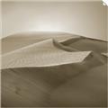 Picture of Desert Sand _GroupedProduct_Square_Photography _GroupedProduct_Square_Unframed_Print_Only_