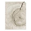 Picture of Cracked Wood _GroupedProduct_Rectangle_Portrait_Photography _GroupedProduct_Rectangle_Portrait_Unframed_Print_Only_