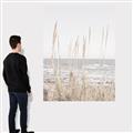 Picture of Beach Vass _GroupedProduct_Rectangle_Portrait_Photography _GroupedProduct_Rectangle_Portrait_Canvas_