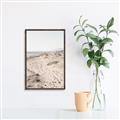 Picture of My Beach View _GroupedProduct_Rectangle_Portrait_Photography _GroupedProduct_Rectangle_Portrait_Canvas_Framed_