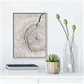 Picture of Cracked Wood _GroupedProduct_Rectangle_Portrait_Photography _GroupedProduct_Rectangle_Portrait_Canvas_Framed_