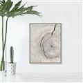 Picture of Cracked Wood _GroupedProduct_Rectangle_Portrait_Photography _GroupedProduct_Rectangle_Portrait_Canvas_Framed_