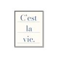 Picture of C'est La Vie II _GroupedProduct_Rectangle_Portrait_Canvas_Framed_