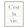 Picture of C'est La Vie II _GroupedProduct_Rectangle_Portrait_Canvas_Framed_