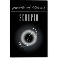 Picture of Scorpio Zodiac Print Art _GroupedProduct_Rectangle_Portrait_Canvas_