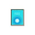 Picture of Pisces Zodiac Print Art _GroupedProduct_Rectangle_Portrait_Canvas_Framed_