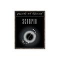 Picture of Scorpio Zodiac Print Art _GroupedProduct_Rectangle_Portrait_Canvas_Framed_