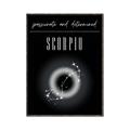Picture of Scorpio Zodiac Print Art _GroupedProduct_Rectangle_Portrait_Canvas_Framed_