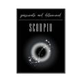 Picture of Scorpio Zodiac Print Art _GroupedProduct_Rectangle_Portrait_Canvas_Framed_