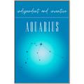 Picture of Aquarius Zodiac Print Art _GroupedProduct_Rectangle_Portrait_Canvas_Framed_