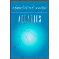 Picture of Aquarius Zodiac Print Art _GroupedProduct_Rectangle_Portrait_Canvas_Framed_