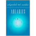 Picture of Aquarius Zodiac Print Art _GroupedProduct_Rectangle_Portrait_Canvas_Framed_