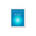 Picture of Aquarius Zodiac Print Art _GroupedProduct_Rectangle_Portrait_Framed_Matted_