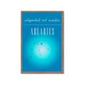 Picture of Aquarius Zodiac Print Art _GroupedProduct_Rectangle_Portrait_Framed_Matted_