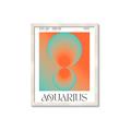 Picture of Aquarius Umbre _GroupedProduct_Rectangle_Portrait_Framed_Matted_