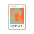 Picture of Aquarius Umbre _GroupedProduct_Rectangle_Portrait_Framed_Matted_