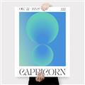 Picture of Capricorn Umbre _GroupedProduct_Rectangle_Portrait_Canvas_