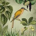 Picture of Yellow Nostalgic Tropical Birds _GroupedProduct_Square_Unframed_Print_Only_