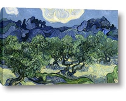 Picture of Vincent Van Gogh's Olive Trees With the Alpilles (1889)