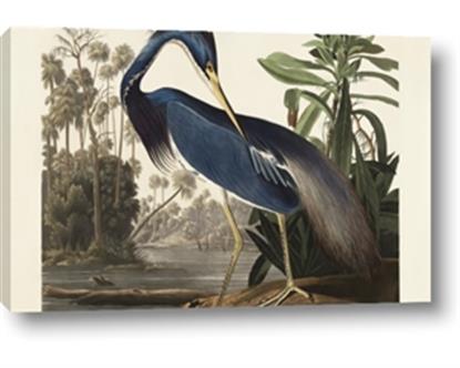 Picture of Vintage Heron Bird