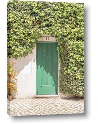 Picture of Green Door with Lush Leaves