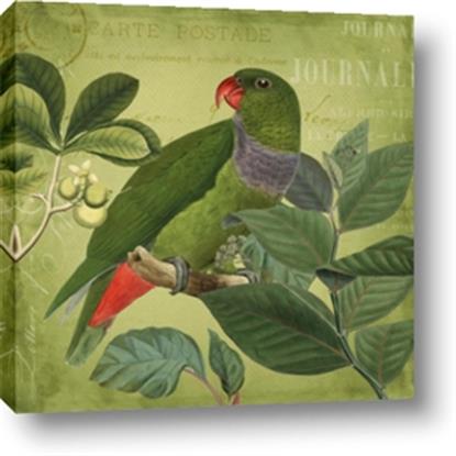 Picture of Vintage Tropical Birds II