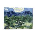 Picture of Vincent Van Gogh's Olive Trees With the Alpilles (1889) _GroupedProduct_Rectangle_Landscape_Canvas_