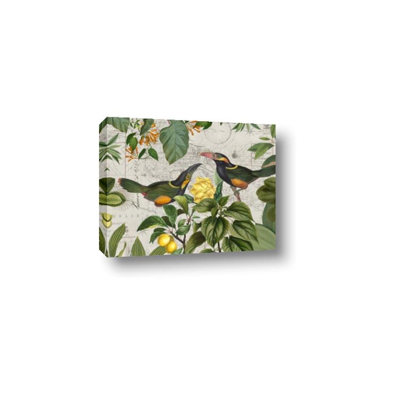 Picture of Parrots Nostalgic Journey 2 _GroupedProduct_Rectangle_Landscape_Canvas_