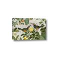 Picture of Parrots Nostalgic Journey 2 _GroupedProduct_Rectangle_Landscape_Canvas_