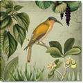 Picture of Yellow Nostalgic Tropical Birds _GroupedProduct_Square_Canvas_