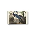 Picture of Vintage Heron Bird _GroupedProduct_Rectangle_Landscape_Canvas_